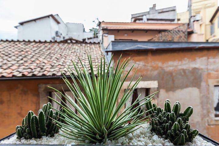Navona Penthouse Rome Exterior photo